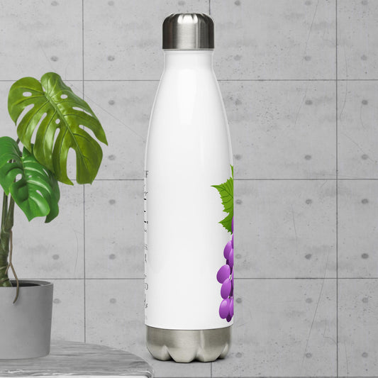 Stainless steel water bottle